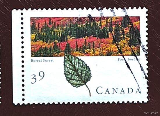 Канада: лесопосадки