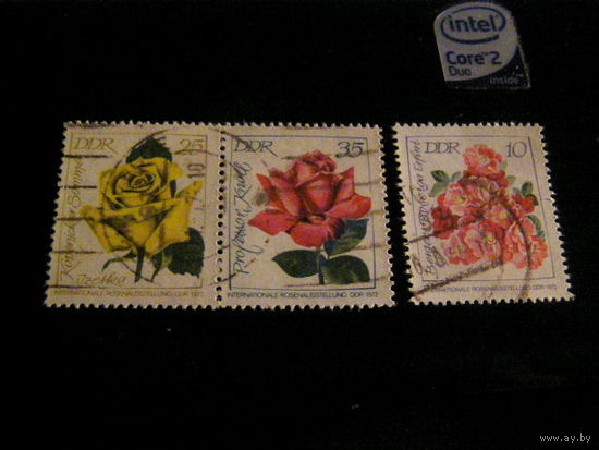 Международная Выставка Роз 1972 ГДР флора цветы