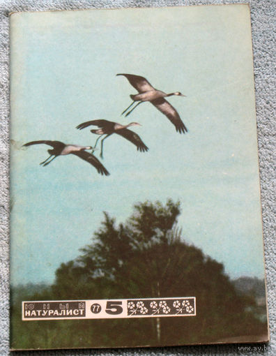 Журнал Юный натуралист номер 5 1977