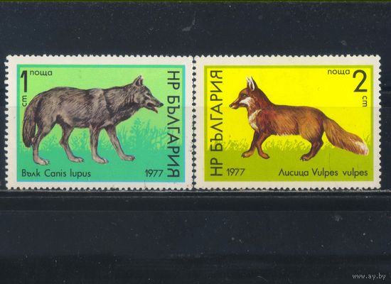 Болгария НР 1977 Волк Лиса #2597-8*