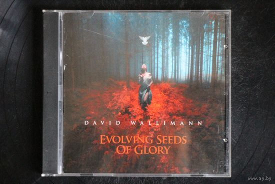 David Wallimann – Evolving Seeds Of Glory (2017, CD)