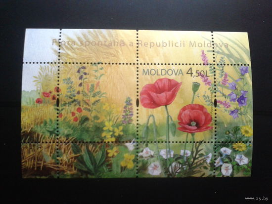 Молдова 2009 Цветы** Блок