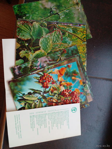 Комплект открыток "Зеленая аптека, выпуск 2", 1983, 22 шт.