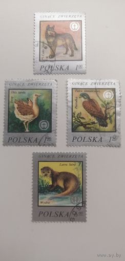 Польша 1977. Животные.Птица