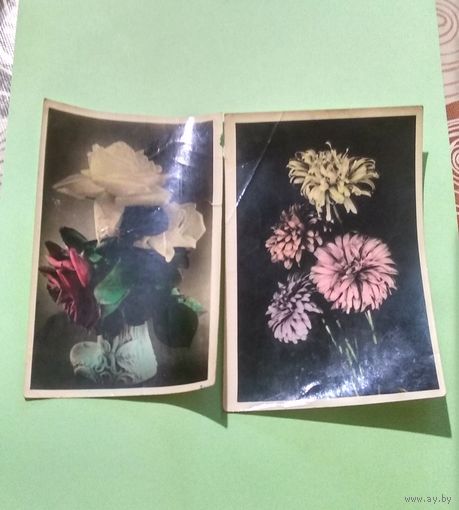 Две почтовые фотооткрытки "Цветы" 1954, 1959. Подписаны