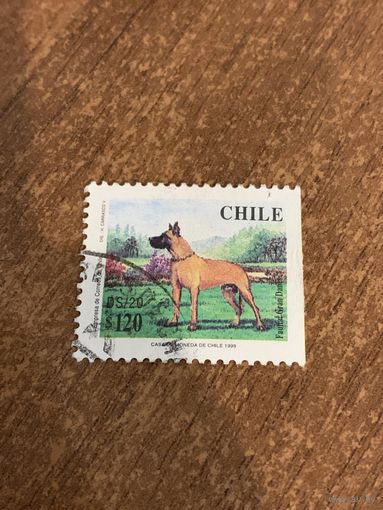 Чили 1998. Породы домашних собак. Марка из серии