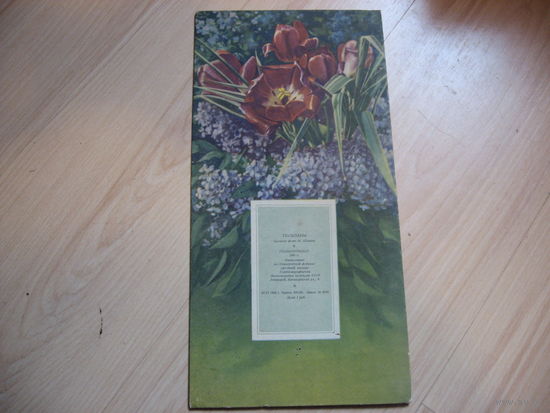 Картинка под отрывной календарь Тюльпаны (СССР, 1954 год)
