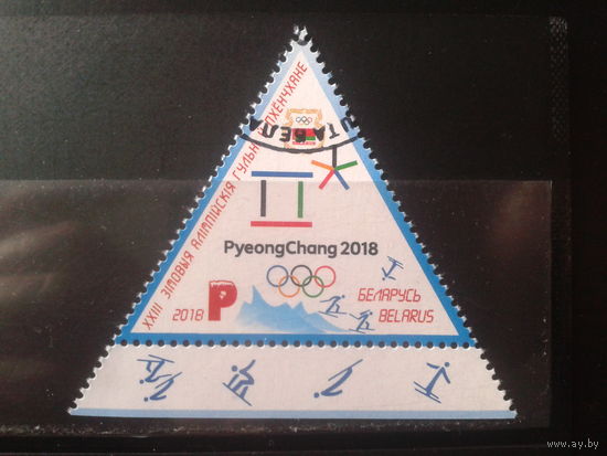 2018 Олимпиада в Пекине