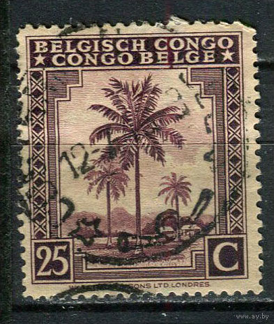 Бельгийское Конго - 1942/1943 - Пальма 25C - [Mi.210] - 1 марка. Гашеная.  (Лот 44EV)-T25P1