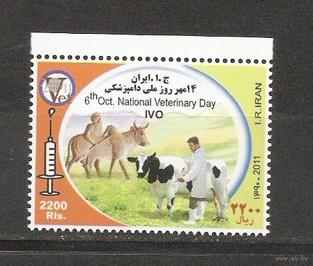 Иран 2011 Ветеринария. Фауна. Коровы