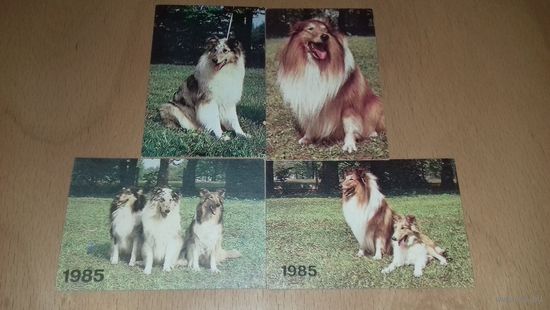 Календарики 1985 Эстония. Собаки. 4 шт. одним лотом