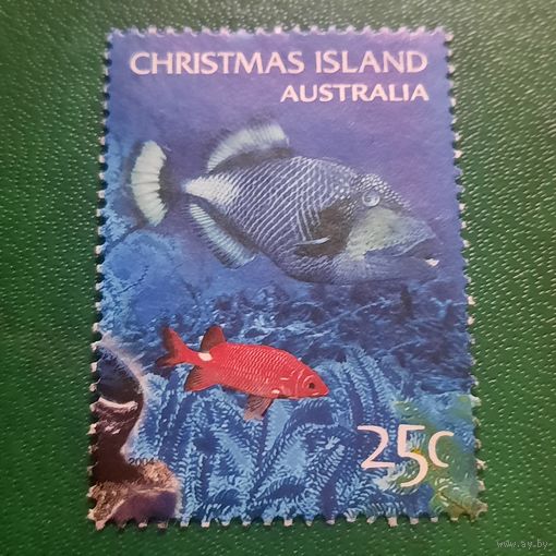 Австралия 2004. Остров Рождества. Рыбы