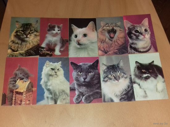 Календарики 1990 Кошки. Коты. Полная серия 10 шт. одним лотом