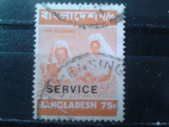 Бангладеш 1976 Служебная марка Надпечатка Сбор урожая чая