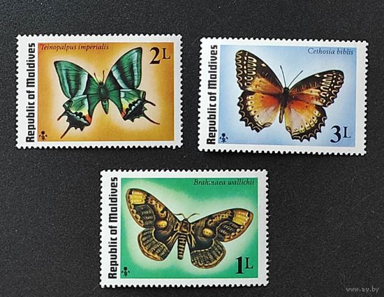 3м бабочки Мальдивы