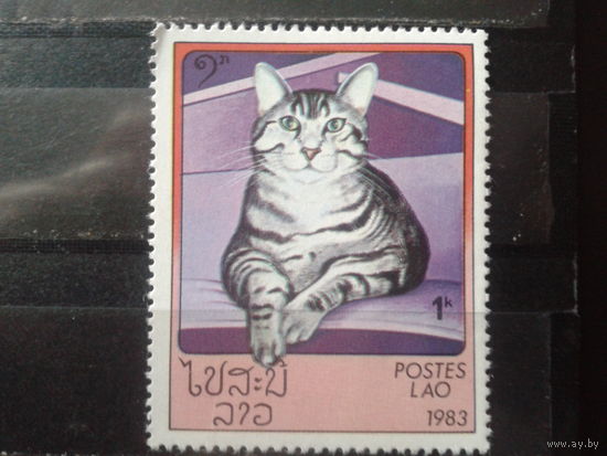 Лаос 1983 Кошка**