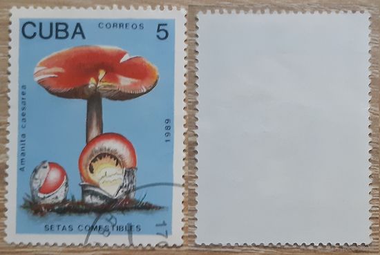 Куба 1989 Съедобные грибы.5 с
