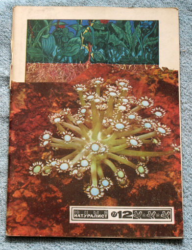 Журнал Юный натуралист номер 12 1977