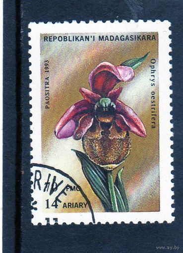 Мадагаскар. Ми-1571. Флора. Цветы.Ophrys oestrifera. Орхзидея пчелоносная. 1993.