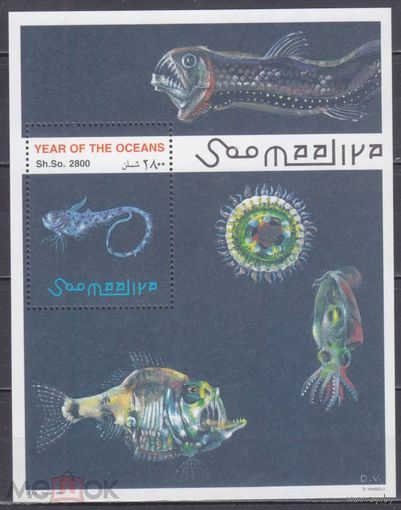 Сомали 1998 морская фауна глубоководные рыбы кальмар Год океана  MNH