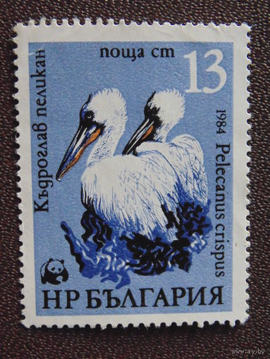 Болгария 1984 г. Птицы.