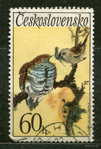 Птицы. Кукушка. Чехословакия. 1972