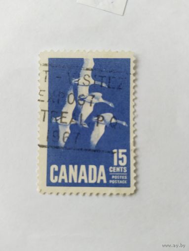Канада 1963 гуси