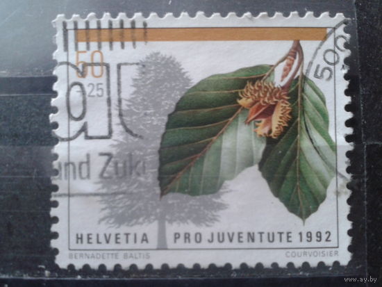 Швейцария 1992 Плоды дерева Михель-0,8 евро гаш