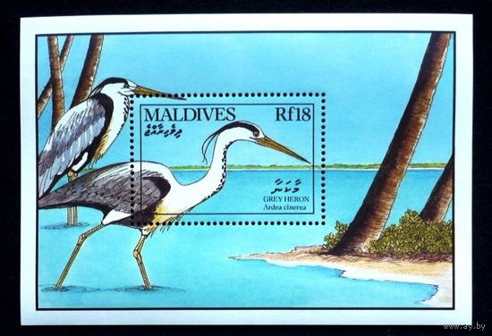 Мальдивы 1990 Серая цапля Птицы ФАУНА MNH