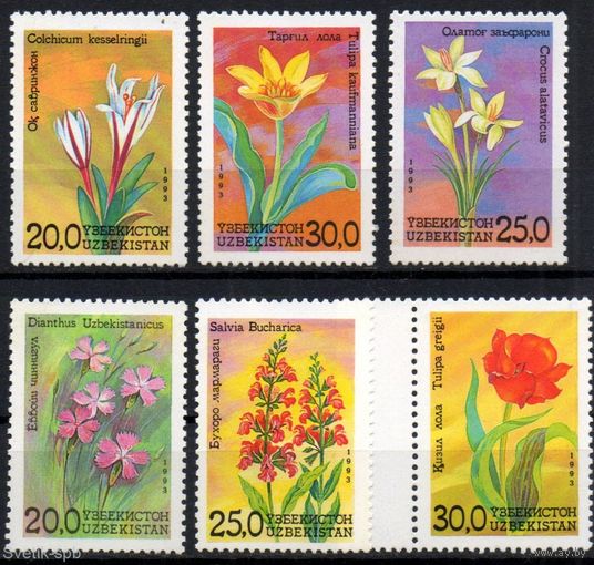Узбекистан 1993 Флора Цветы Узбекистана Серия 6 марок **