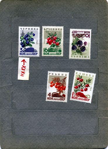 СССР, 1964, ЯГОДЫ** серия 5м,   Заг. 3048-52, чистая, 1м (3к) с накл