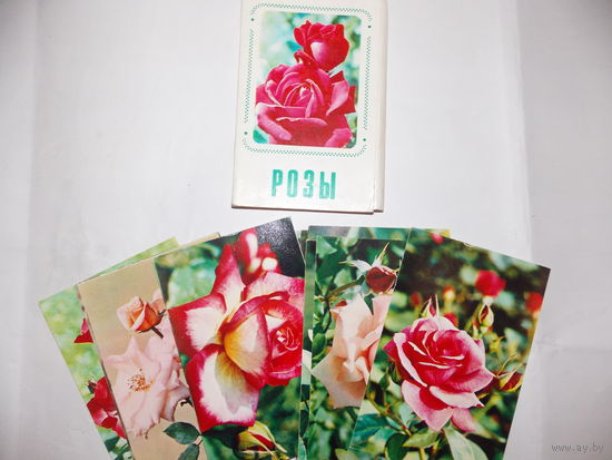 Набор открыток СССР,  Розы
