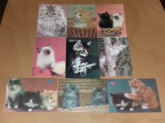 Календарики 1991 Кошки. Коты. 9 шт. одним лотом
